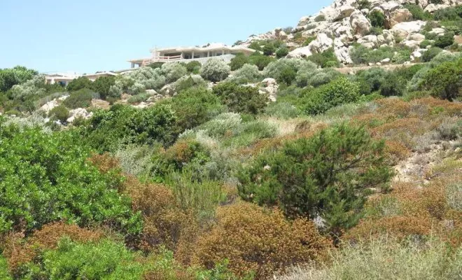 Architecte constructeur, Porticcio, CIA Architecture – Jean-Pierre Baude